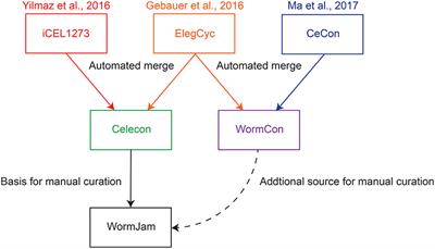 Modeling Meets Metabolomics—The WormJam Consensus Model as Basis for Metabolic Studies in the Model Organism Caenorhabditis elegans